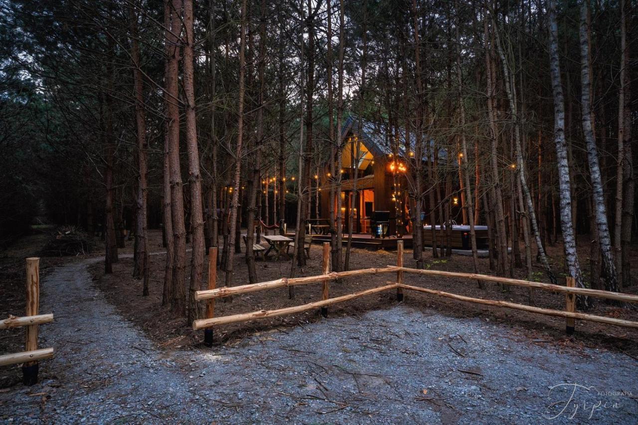 Dziupla House Villa Czarna  Luaran gambar